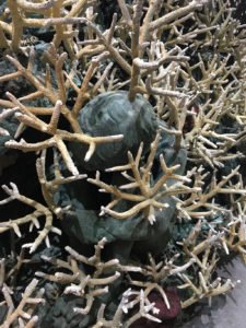Pieces from Treasures from the Wreck of the Unbelievable by Damien Hirst at the Punta della Dogana, Venice