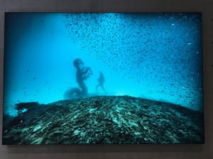 Pieces from Treasures from the Wreck of the Unbelievable by Damien Hirst at the Punta della Dogana, Venice