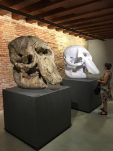 Pieces from Treasures from the Wreck of the Unbelievable by Damien Hirst at the Punta della Dogana, Venice